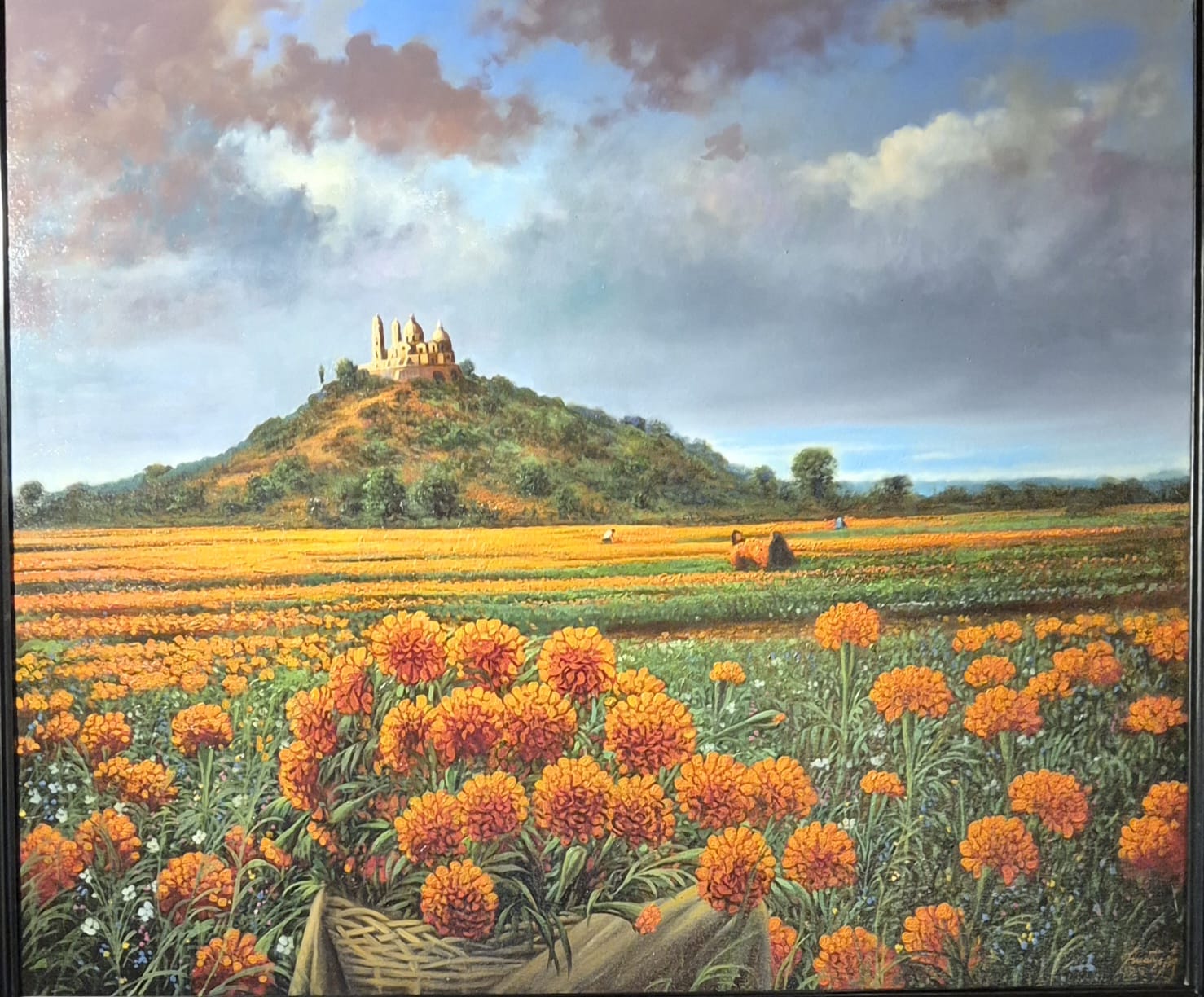 Cempazuchil en cholula