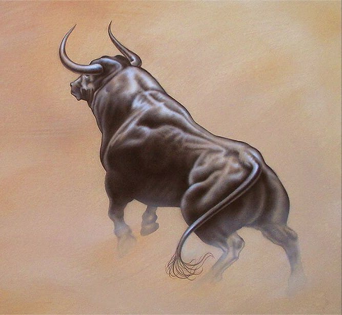 Toro bravo