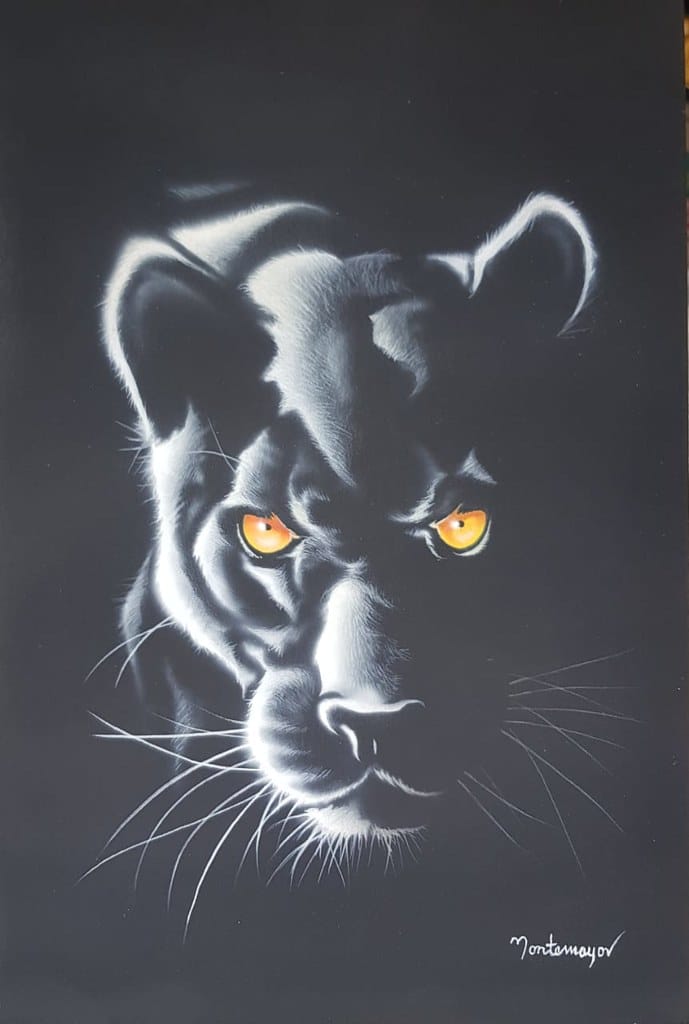 Pantera negra