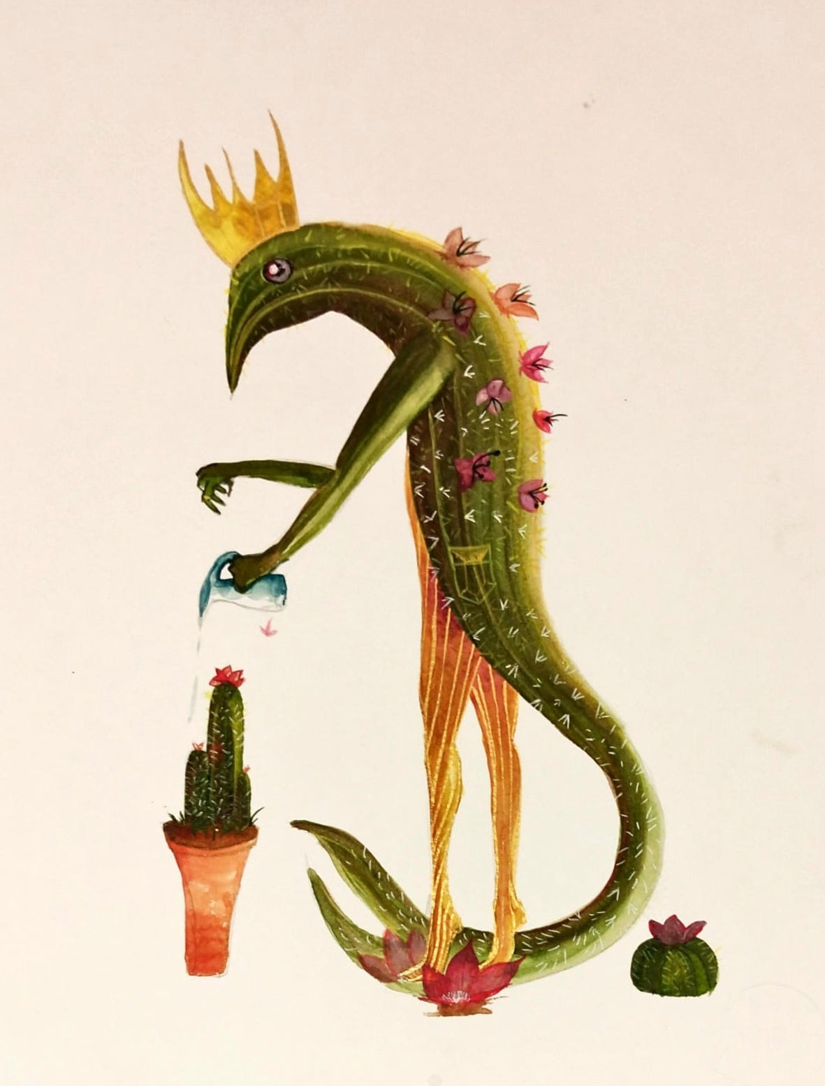 Sra. cactus