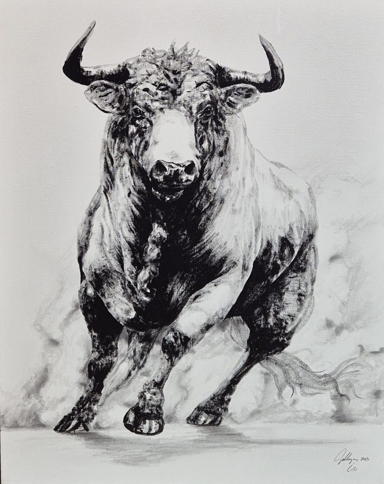"915- Toro de frente"