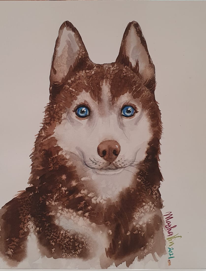 Perro
