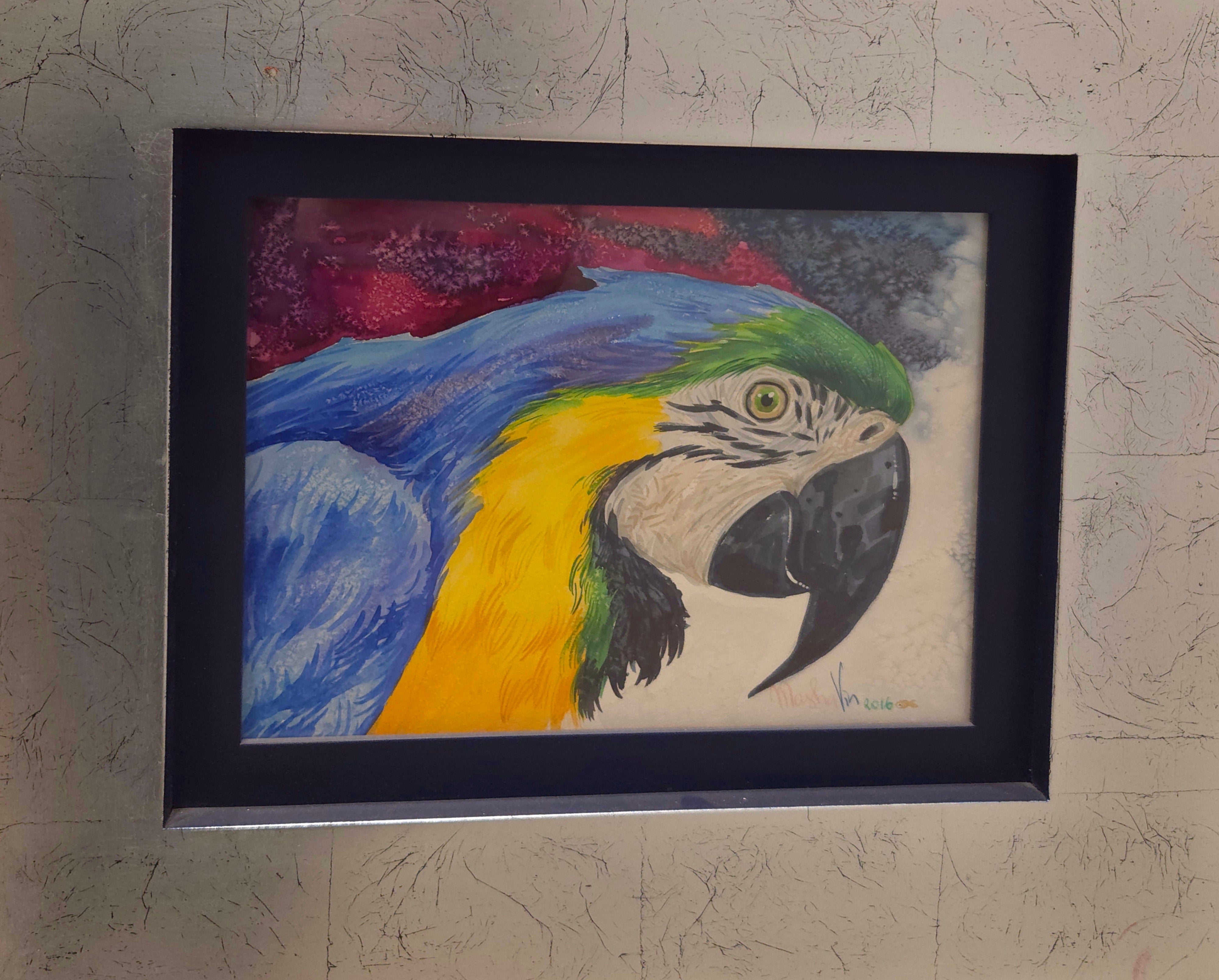 Guacamaya