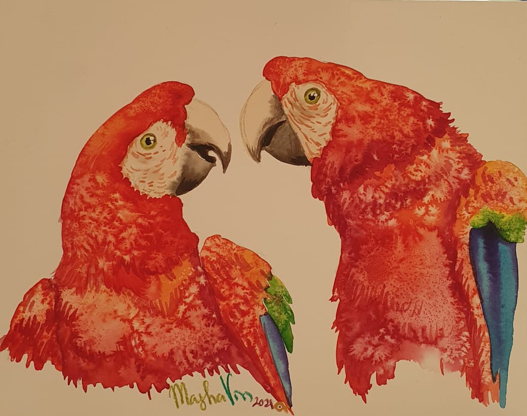 Guacamayas