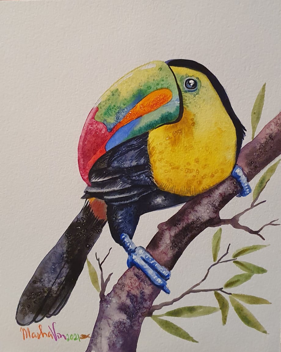 Tucan