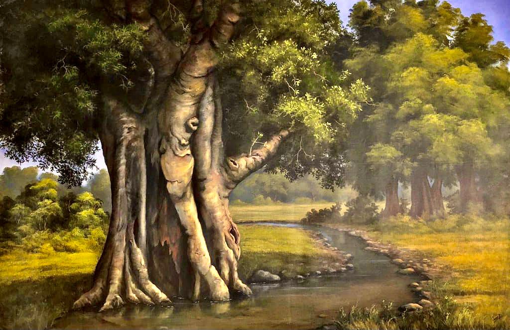 El árbol y el riachuelo