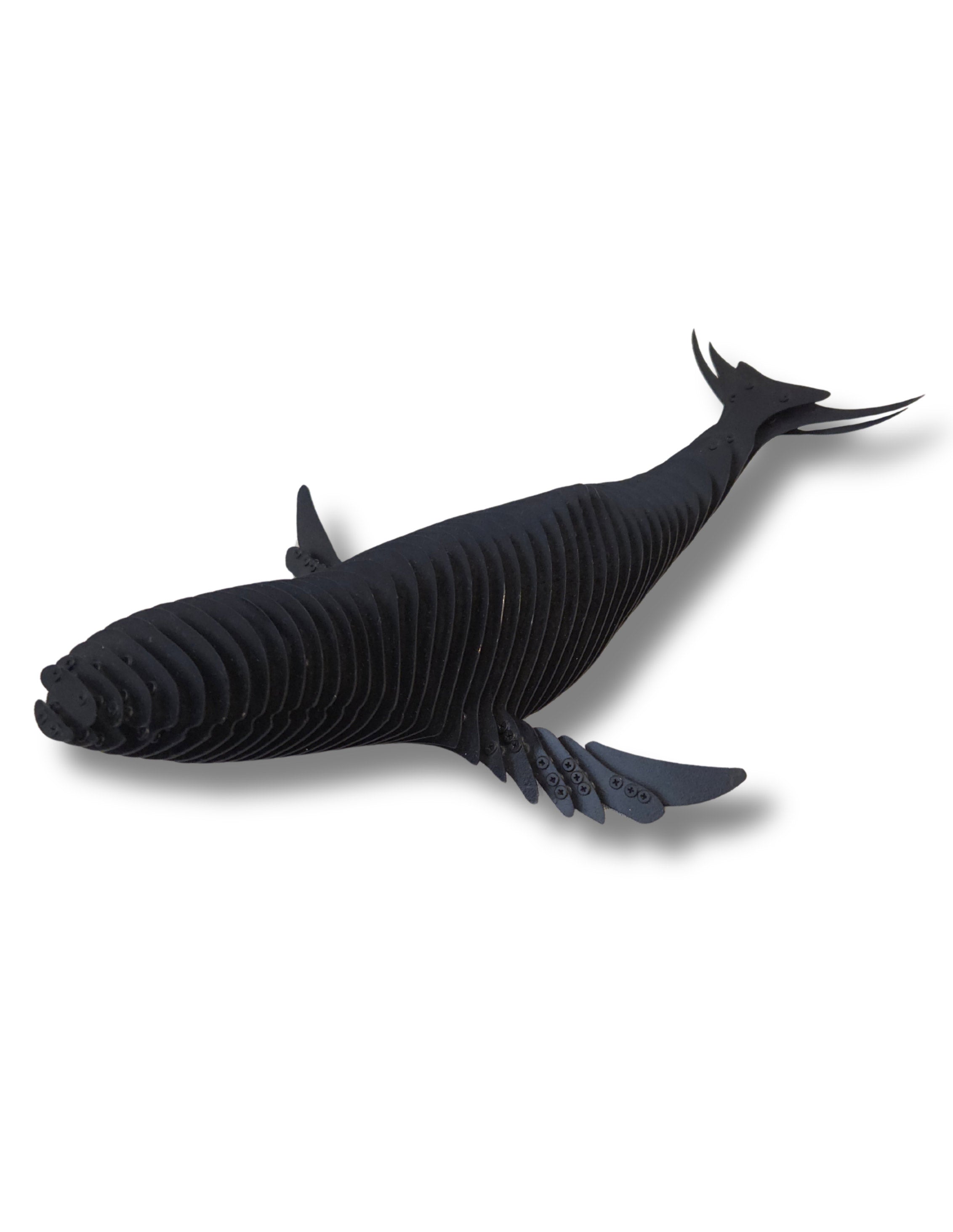 Resurgir / resurgir black 4/15