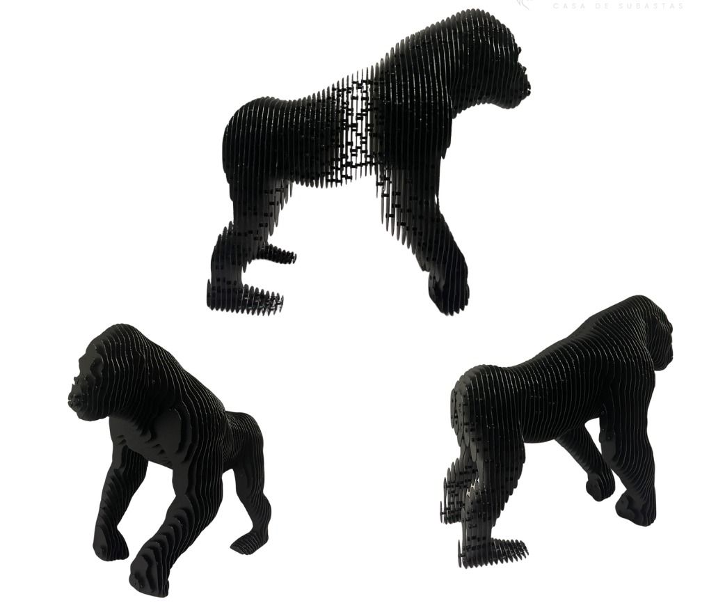 Evolución / evolucion black