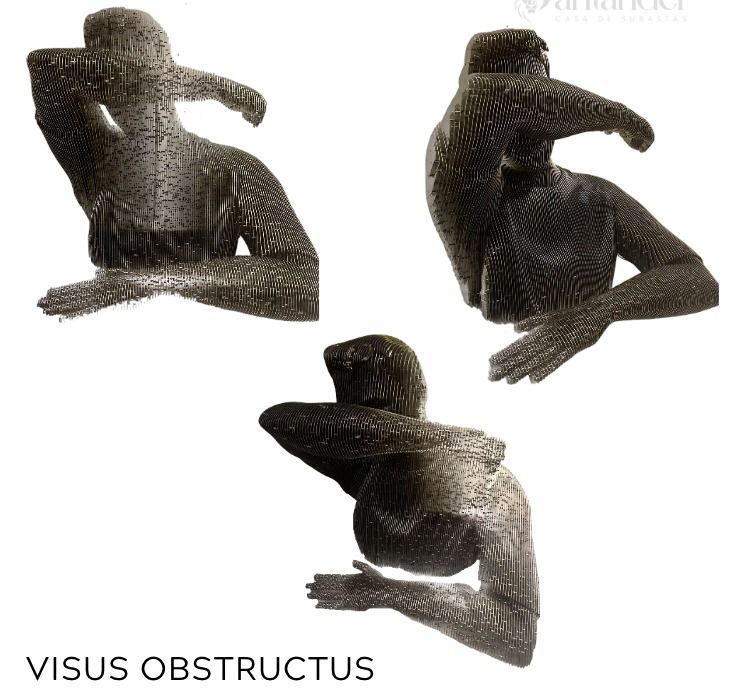 Visus obstructus