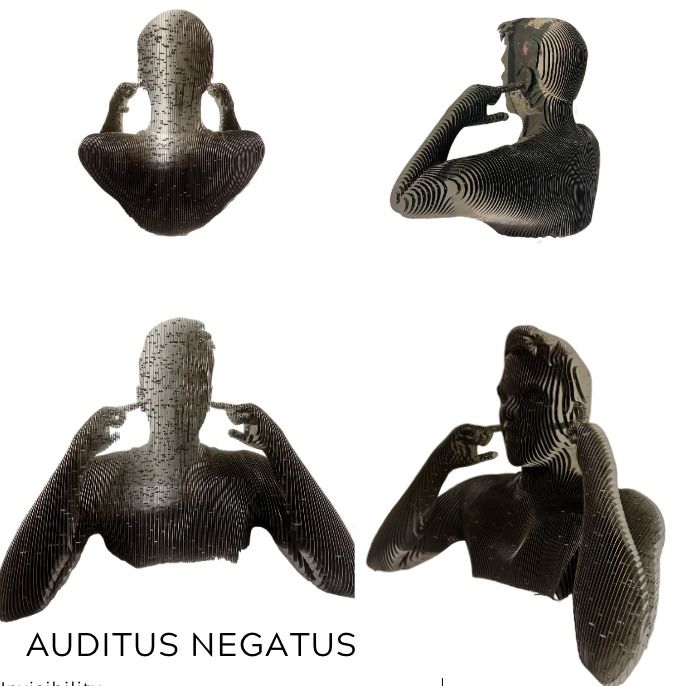 Auditus negatus