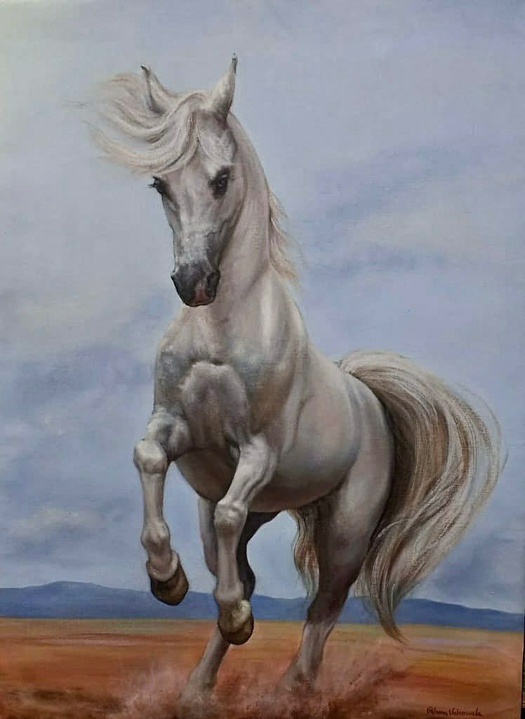 Caballo blanco