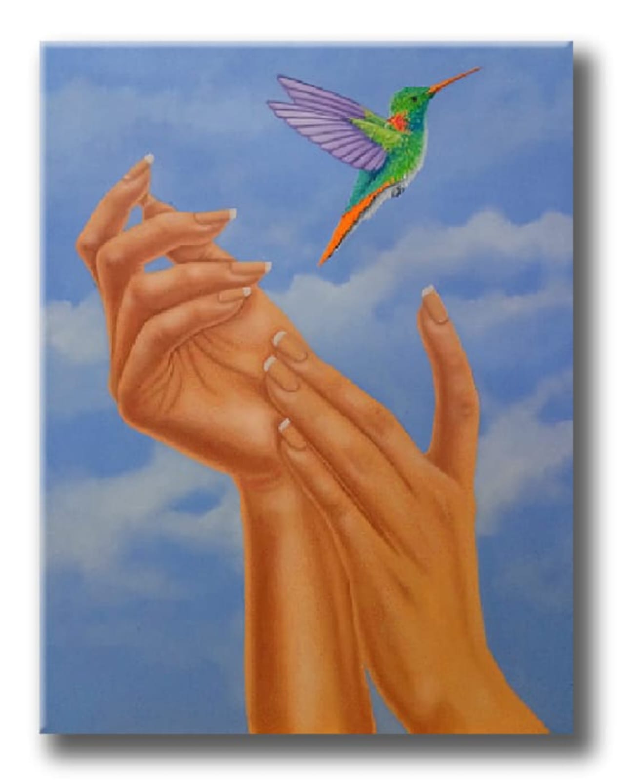Vuelo libre I