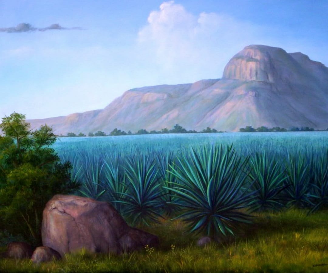 Los agaves