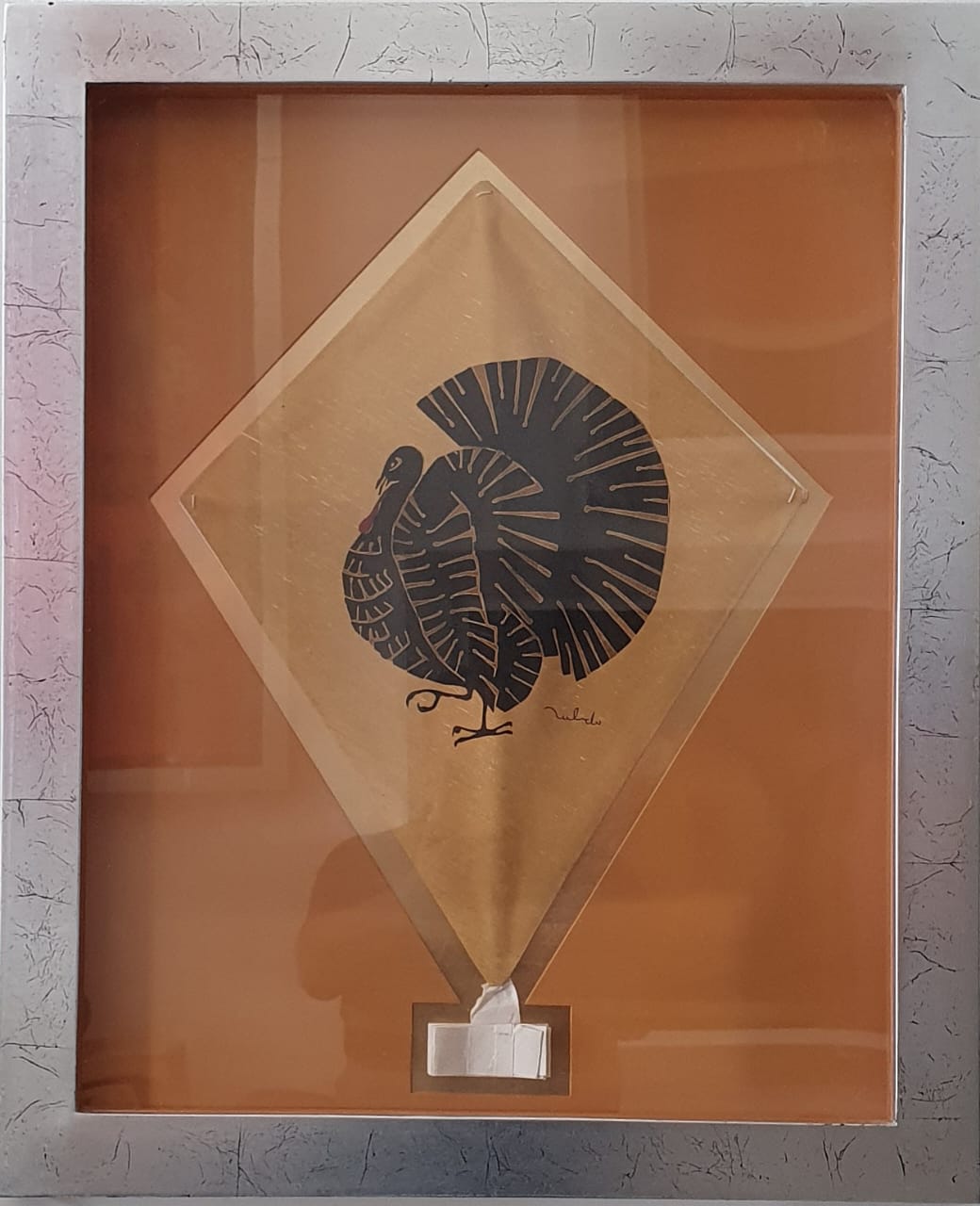 Pavo